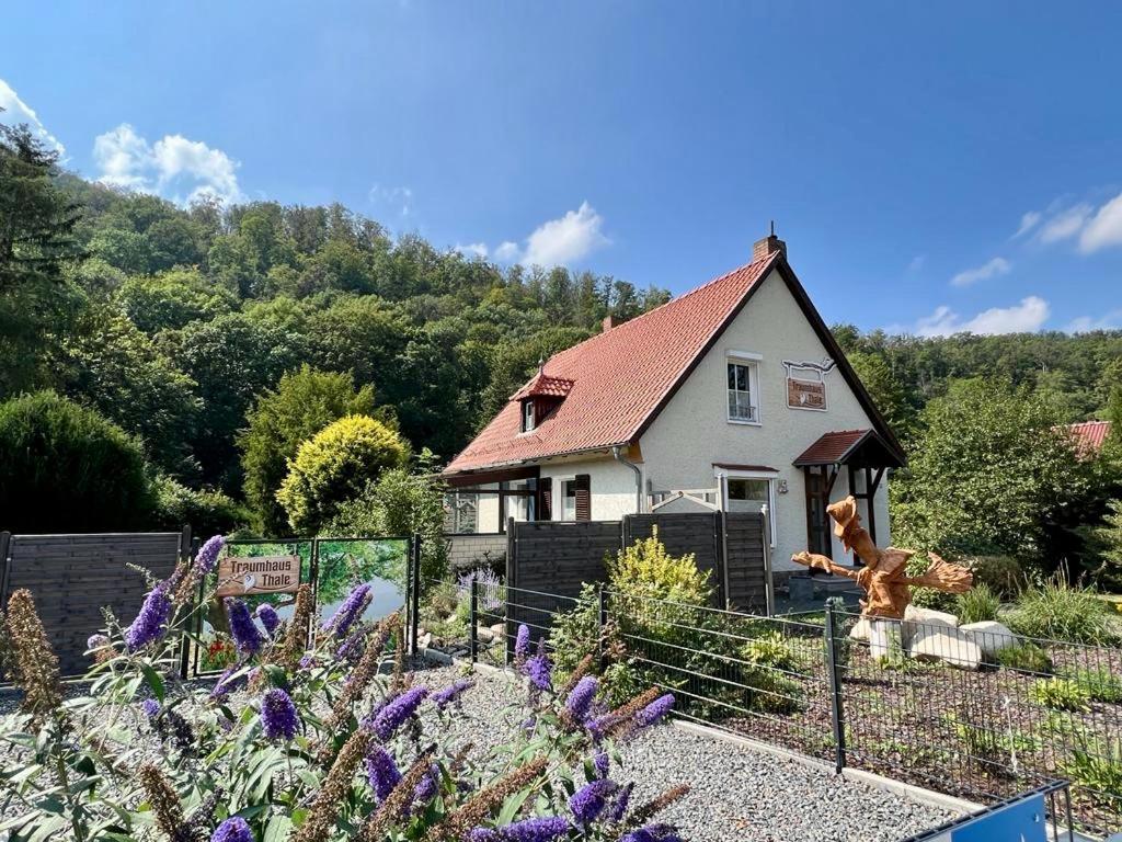 Traumhaus Thale Mit Sauna Und Kamin Экстерьер фото